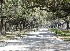 Boone Hall Plantation Entrance Road