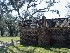 Boone Hall Plantation Slave House