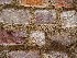 Boone Hall Plantation Slave House Brick
