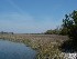 Boone Hall Plantation Cotton Shed Stream