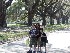 Ted, Maria, and Tom near Boone Hall Plantation Trees