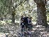 Maria, Tom, Paul and Ted at Boone Hall Plantation