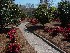Garden near Boone Hall Plantation House