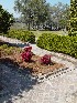 Garden near Boone Hall Plantation House