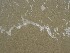 Isle of Palms Beach