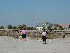 Bird Feeders on Isle of Palms Beach