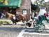 Carriage Tours