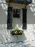 Meeting Street Window Box