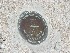 Geodetic Survey Marker at White Point Gardens