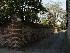 Ropemakers Lane