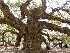 Ted at Angel Oak