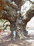 Tom at Angel Oak