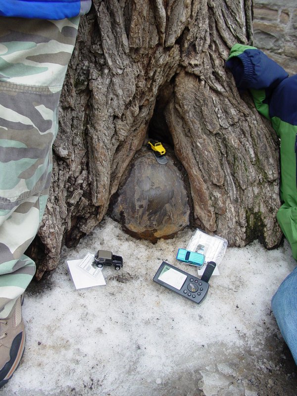 Geocache - Tree within the Old City GCHKWJ