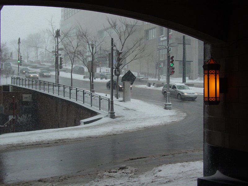 Avenue Honore-Mercier from Palace Royale