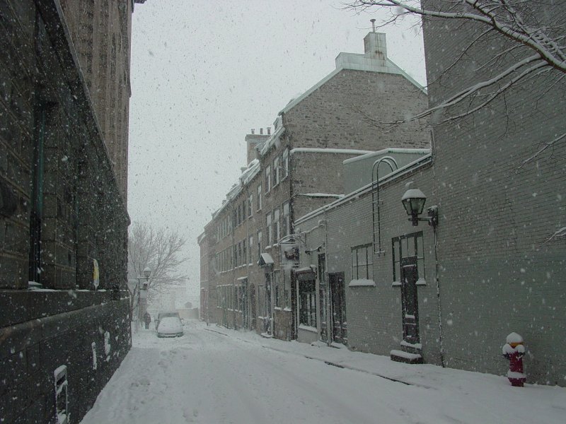 Rue D'Auteuil