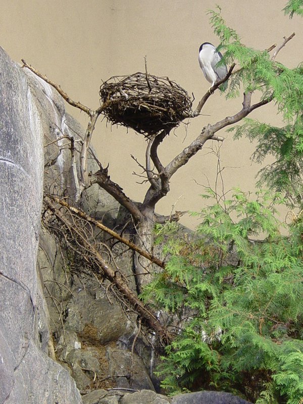 Bird Exhibit