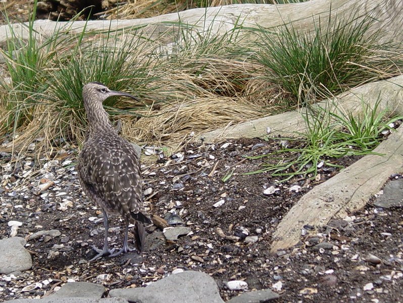 Bird Exhibit