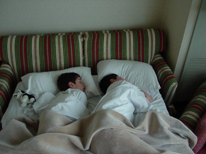 Tom and Ted sleeping