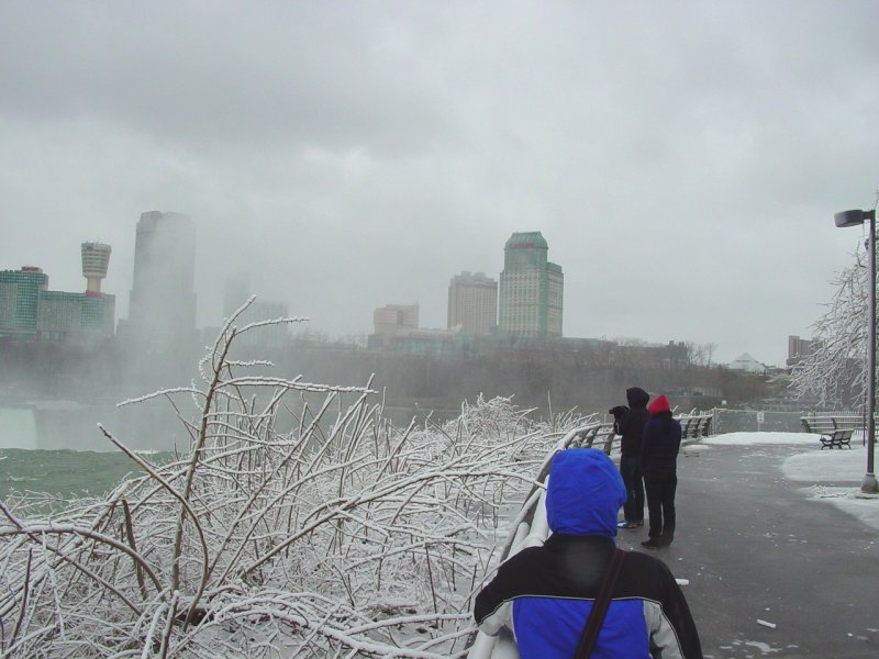 View from Goat Island