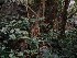 Wooded Exhibit