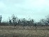 Bird Models on Roadside near Thousand Islands