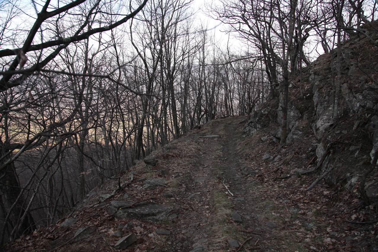View from Trail