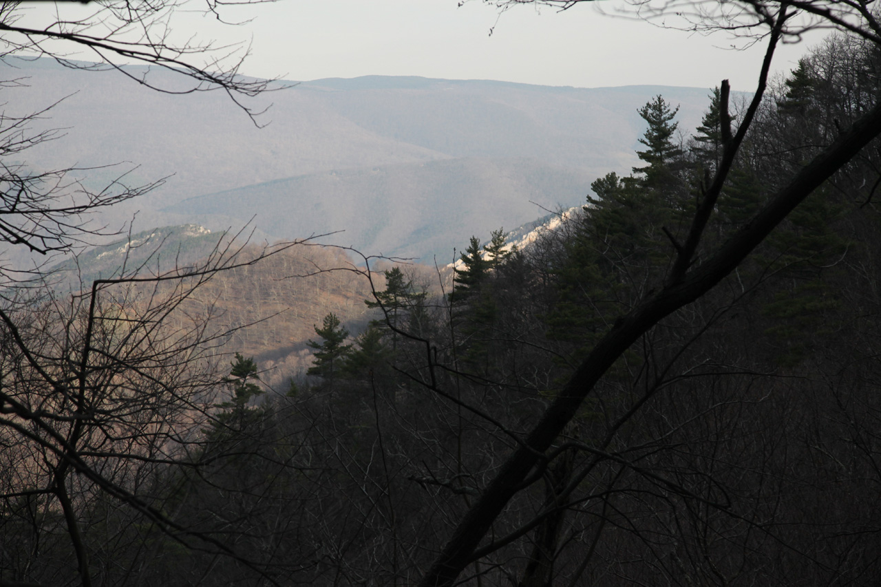 Trail View