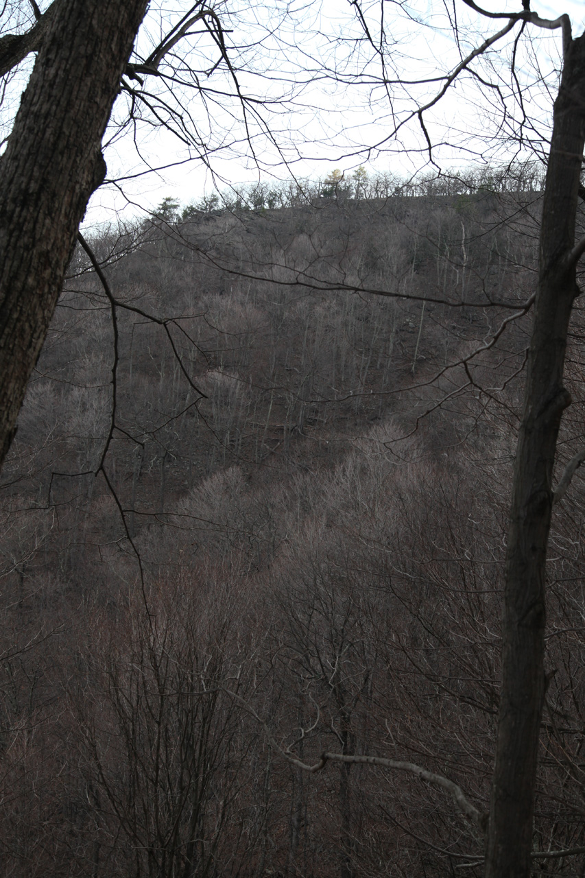 Trail View