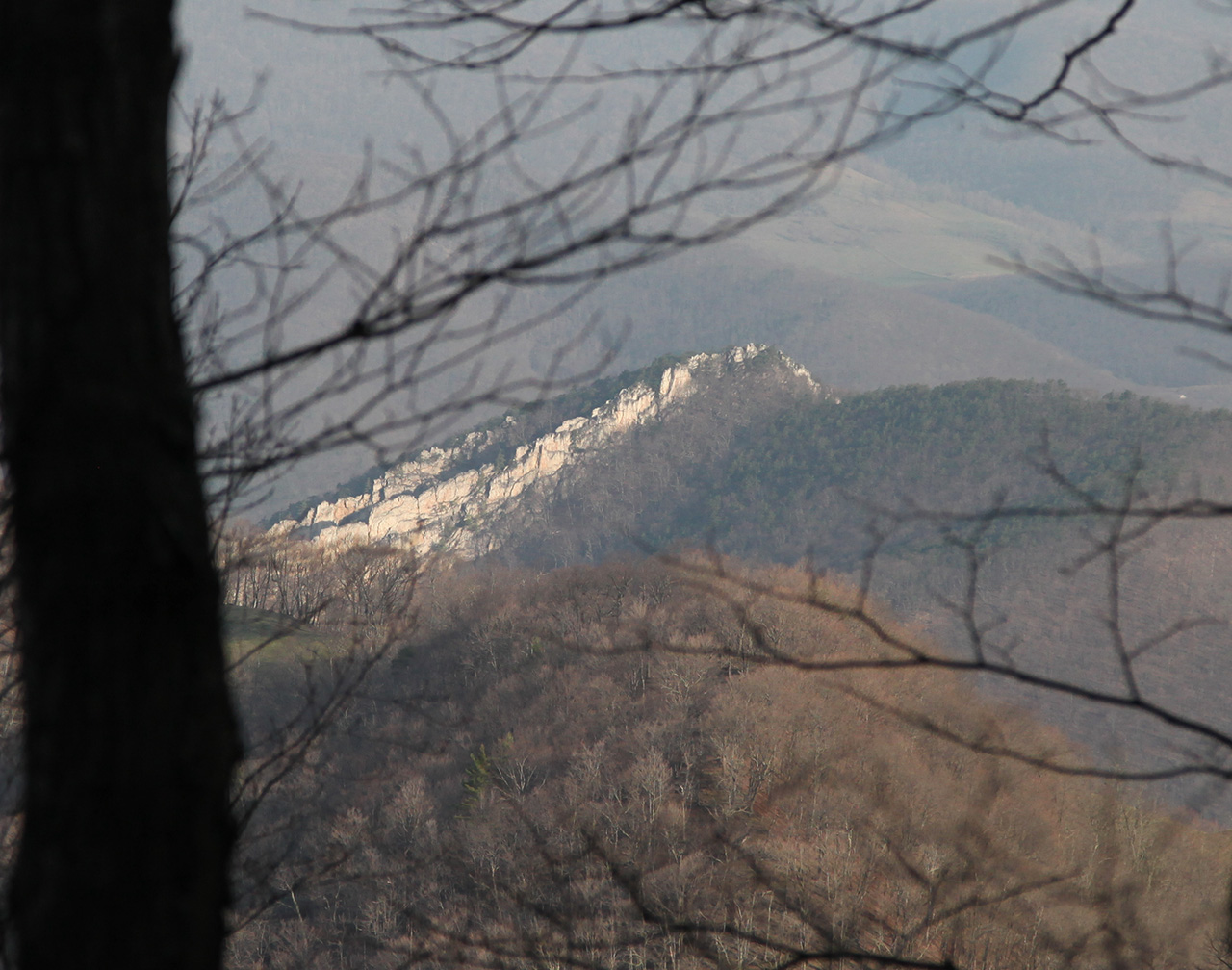 Trail View