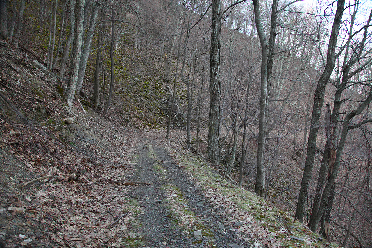 Trail View