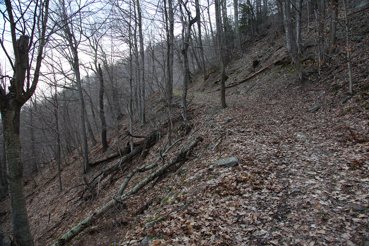 Trail View