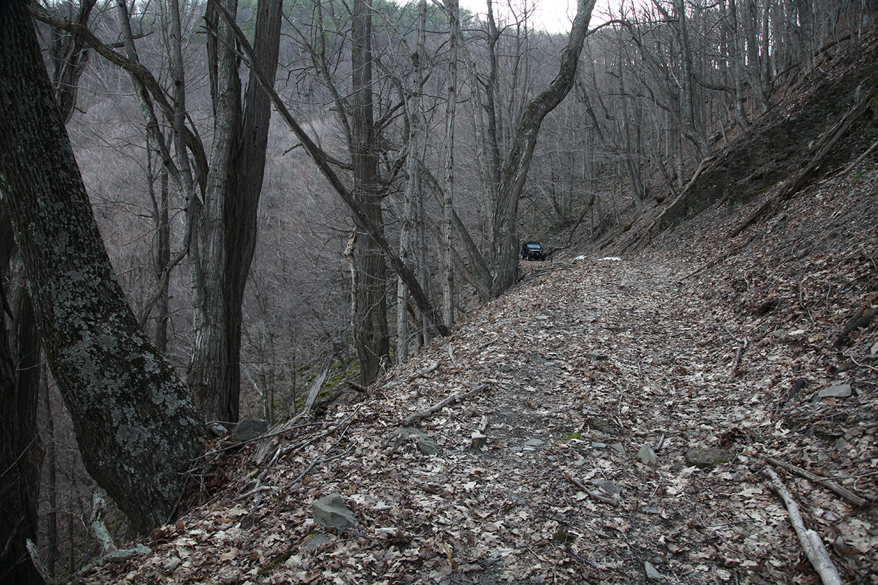 Trail View