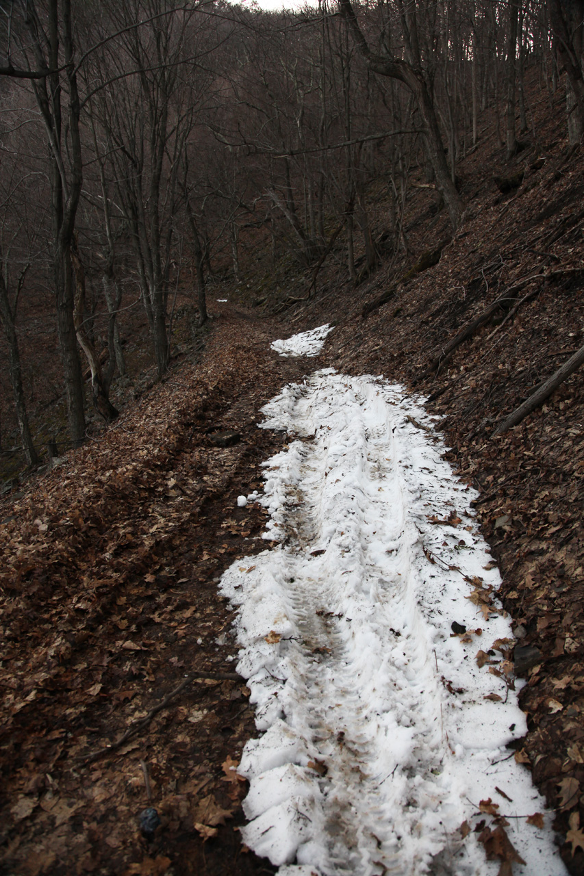 Trail View
