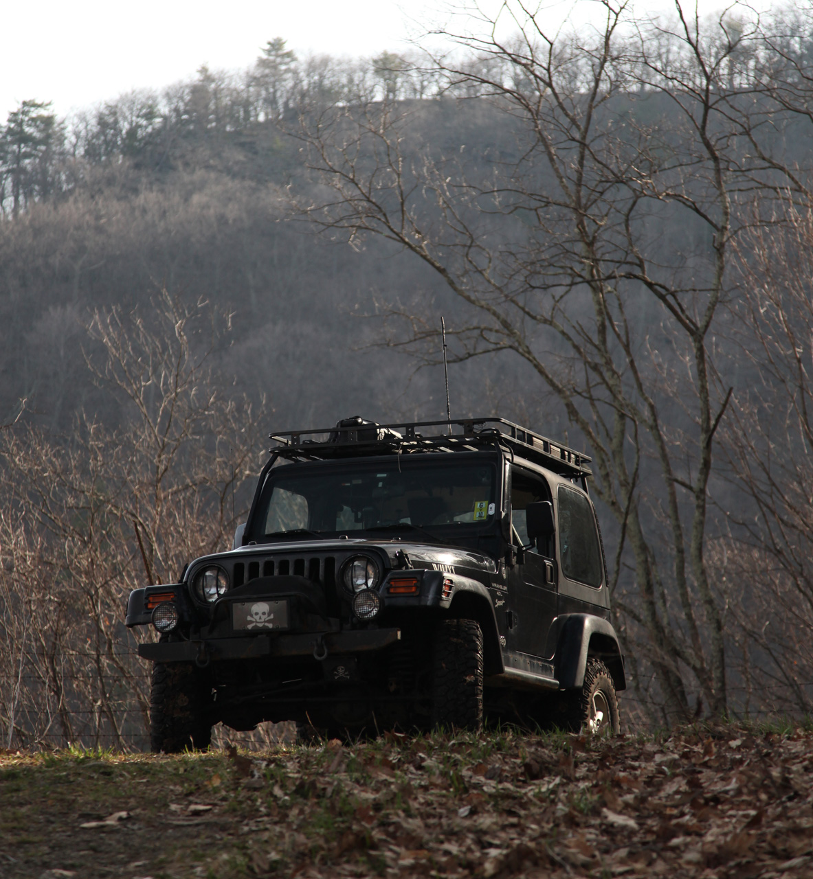Trail View