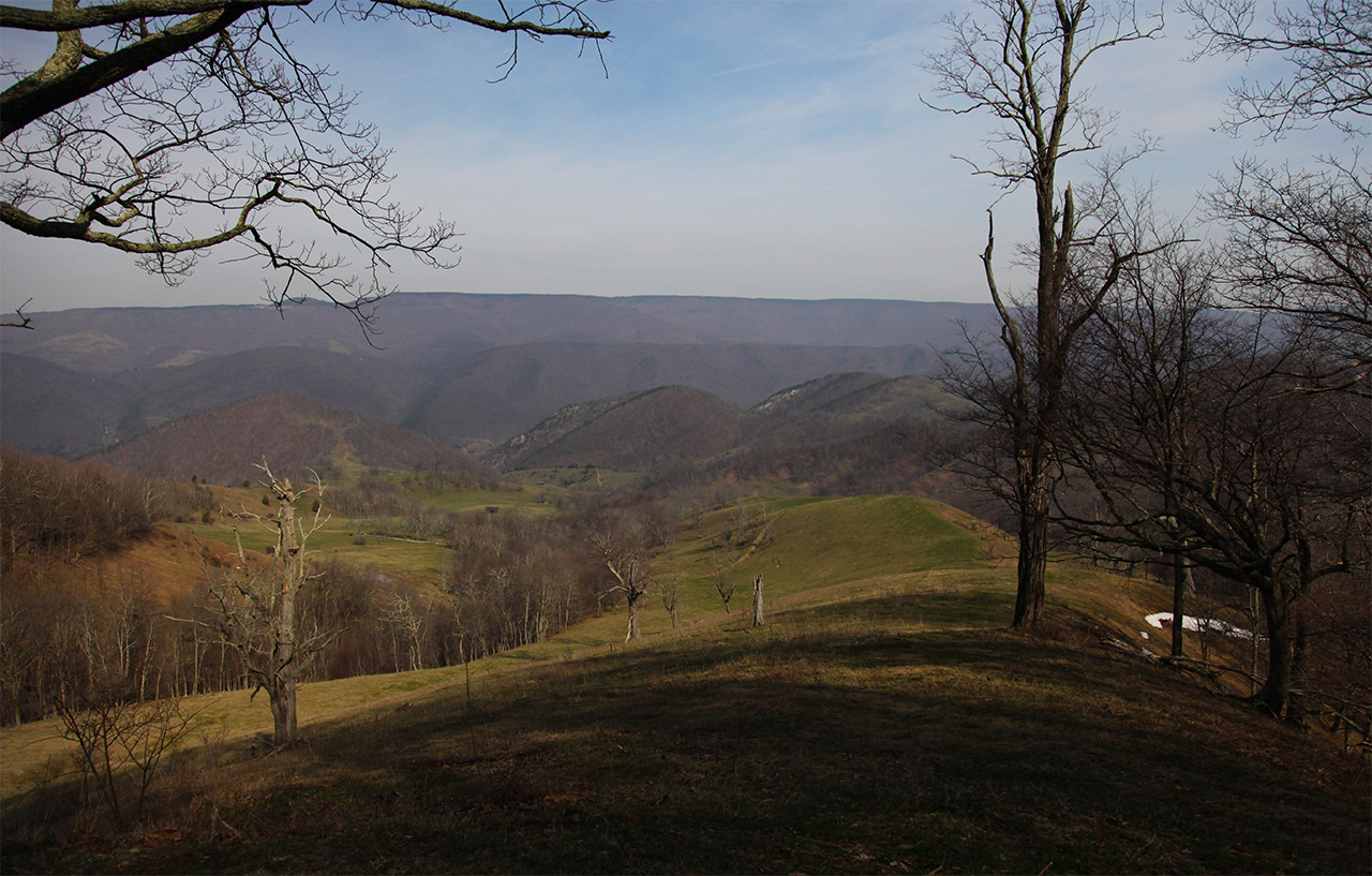 Smith Farm