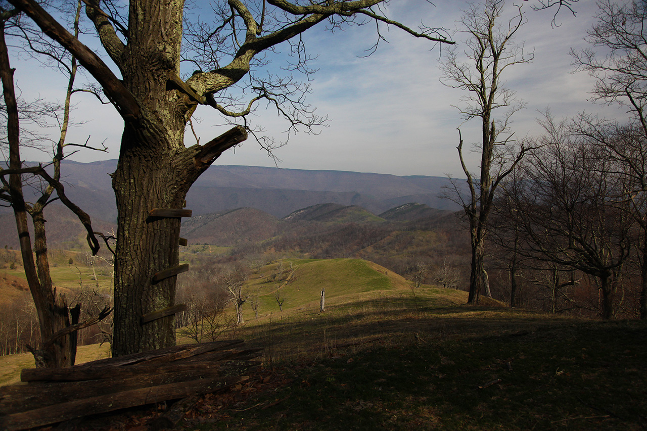 Smith Farm