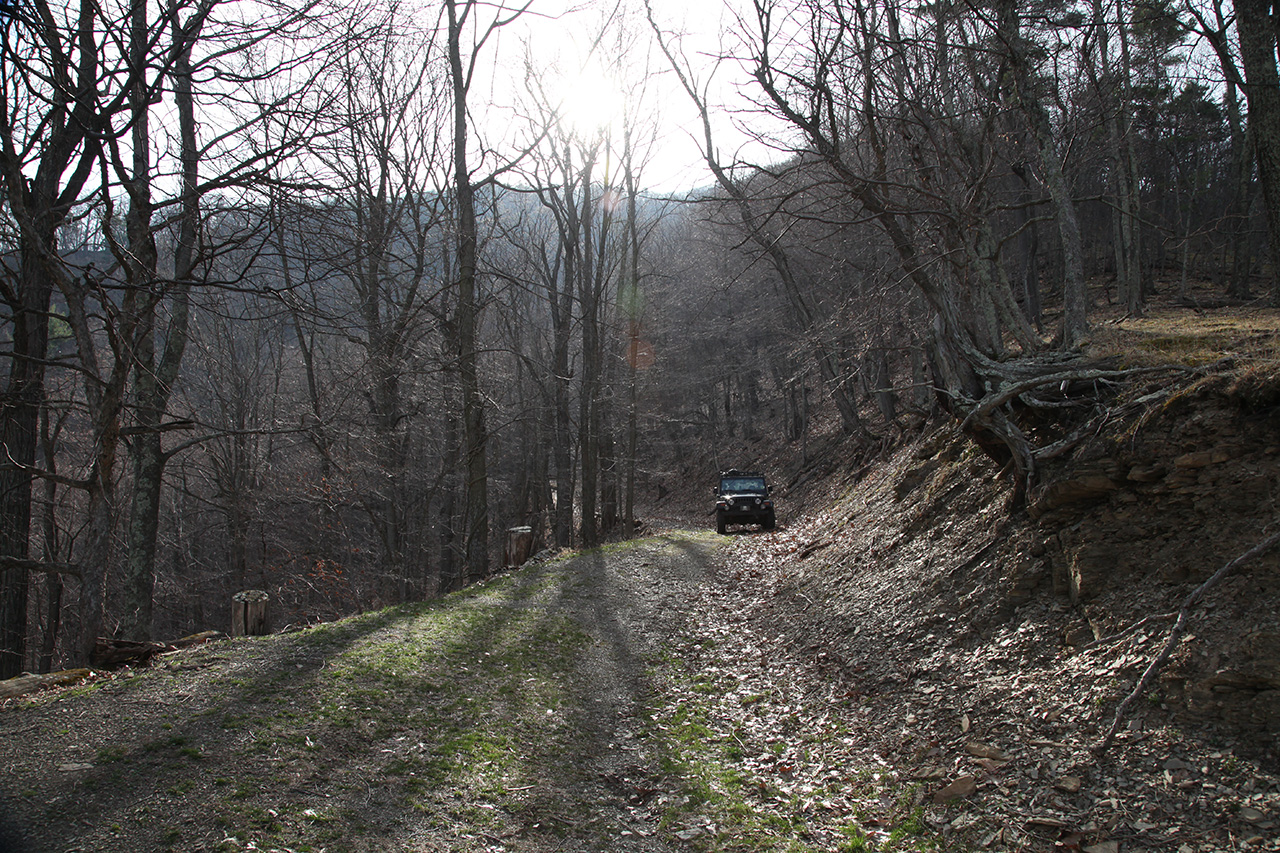 Trail