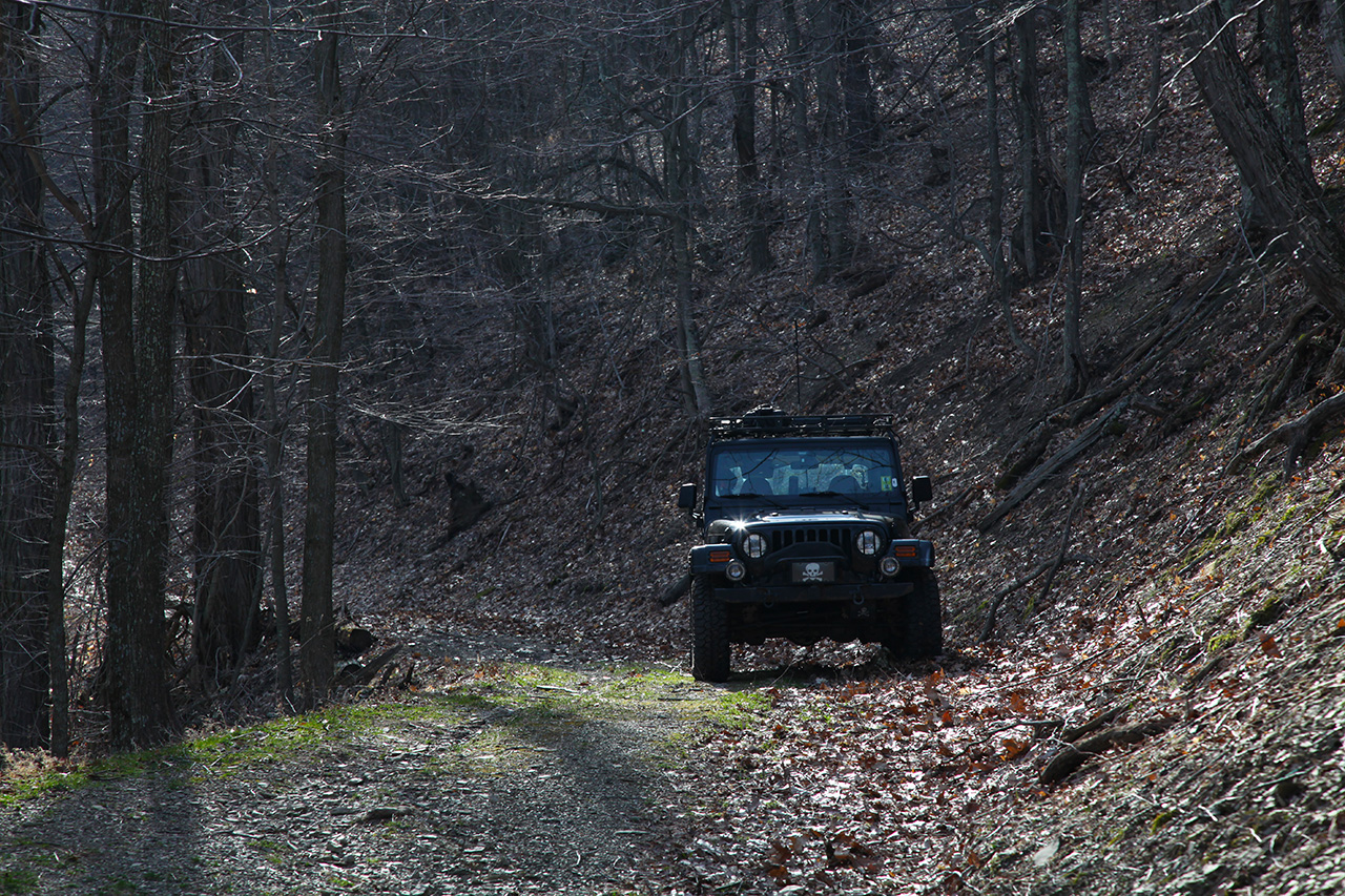 Trail