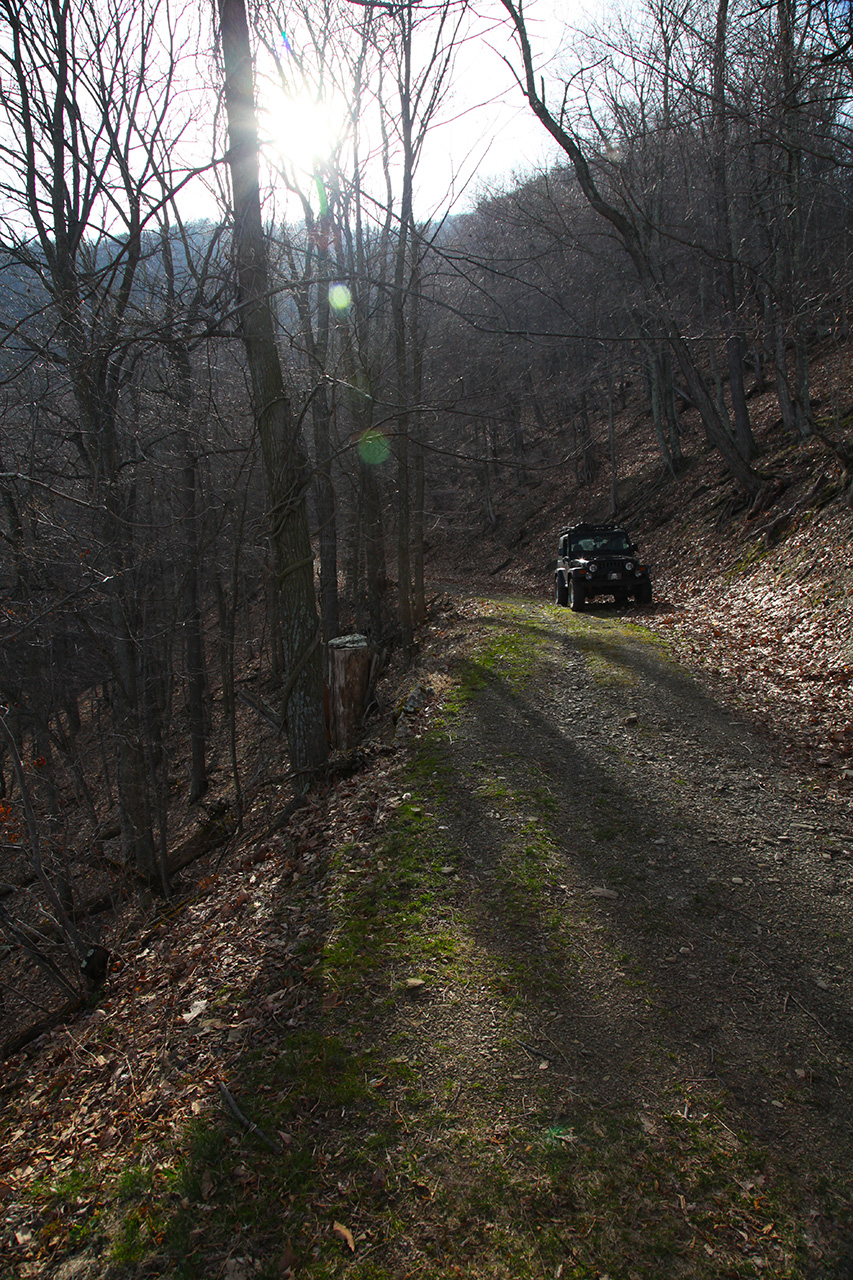 Trail