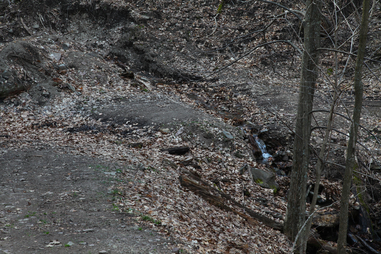 Trail