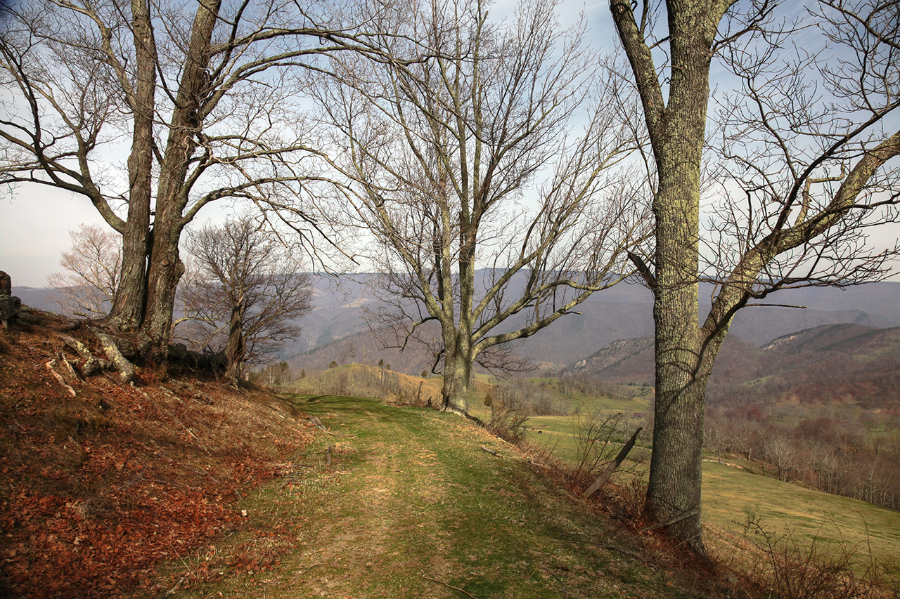 Trail