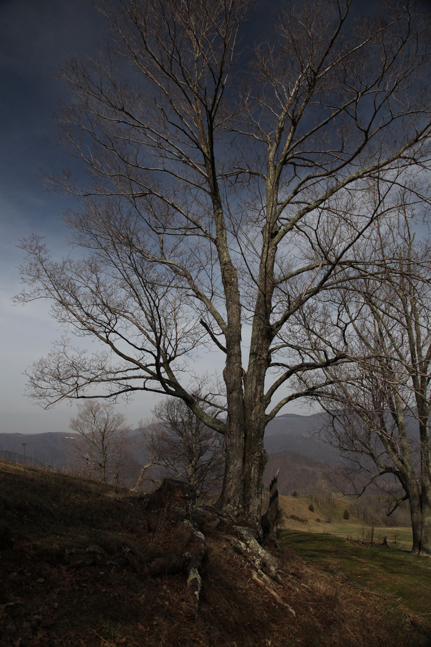 Smith Farm