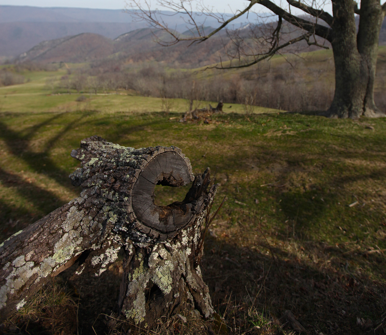 Smith Farm