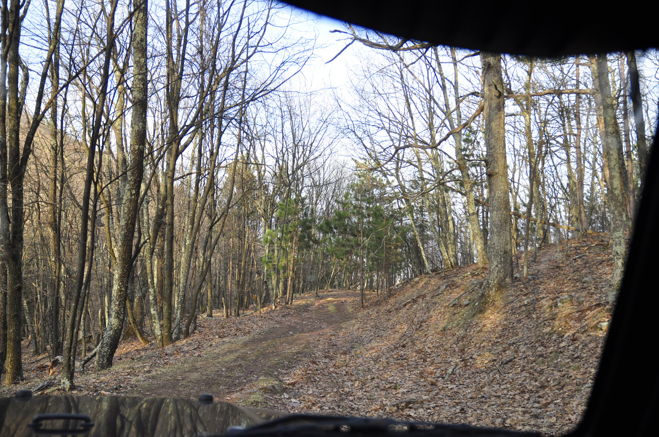 Driving Out...