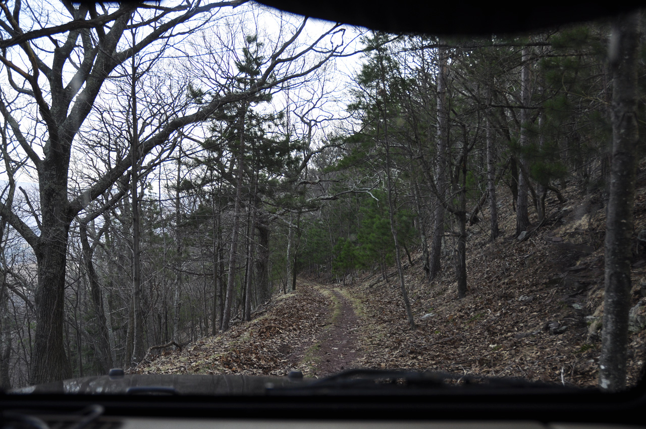 Shelf Road Ahead...