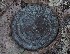 Circle Benchmark