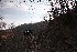 Trail View