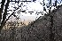 Ridge Beyond