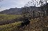 Foothills