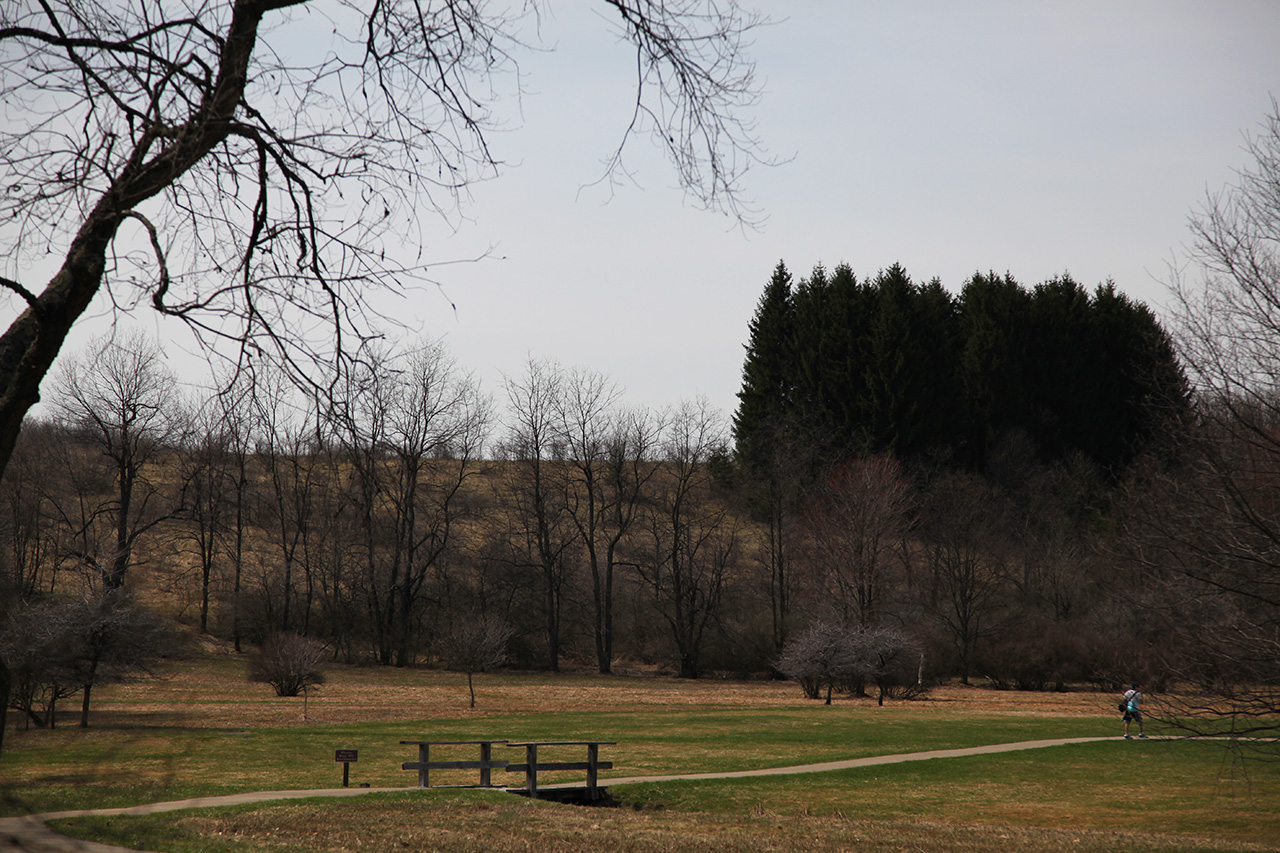 Fort Necessity